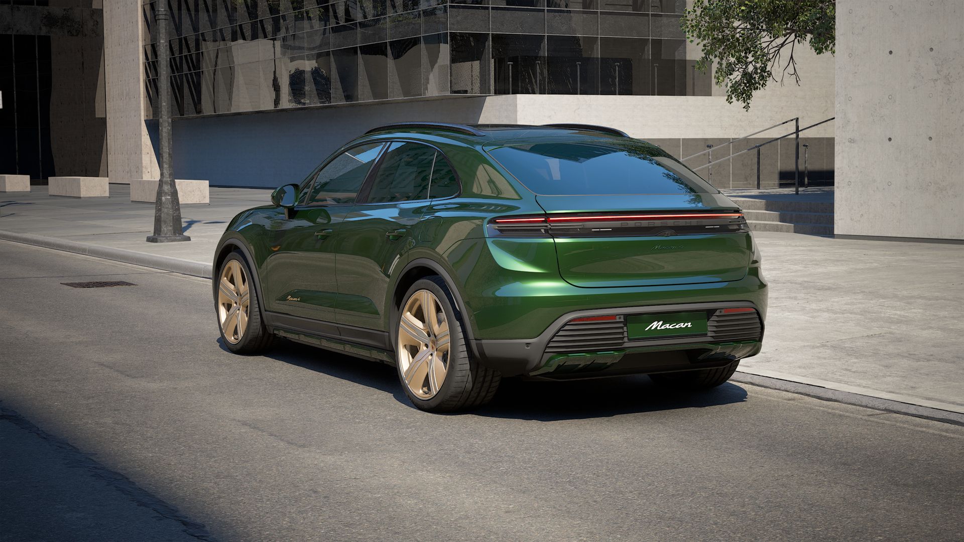 Macan 4 back view