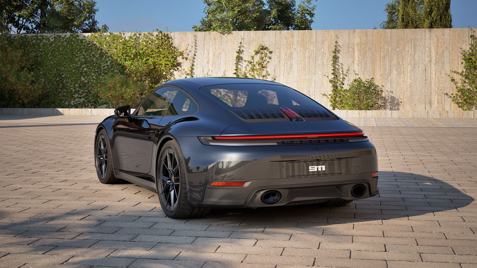 911 Carrera back view