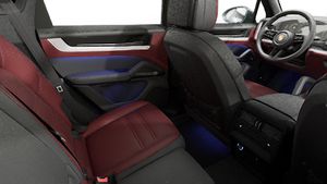 Interior view showing the back seats of Cayenne