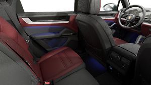 Interior view showing the back seats of Cayenne