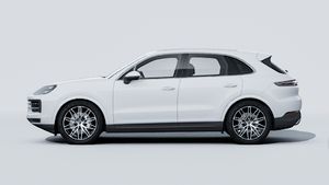 Exterior view of Cayenne showing the left side of the car