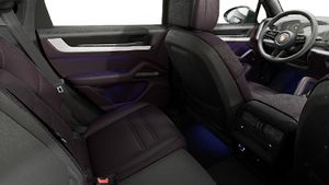 Interior view showing the back seats of Cayenne Coupe
